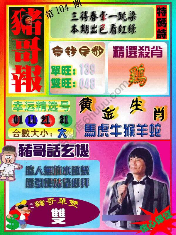 猪哥报