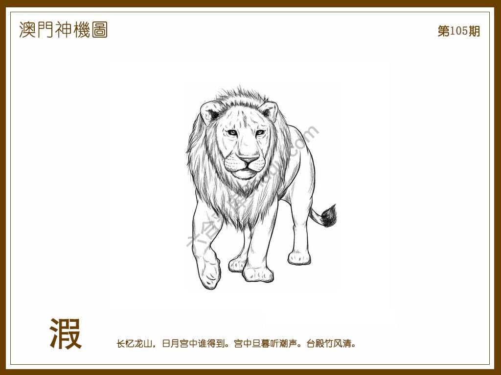 澳门神机图