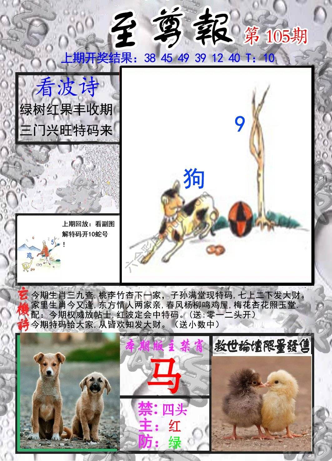 至尊报