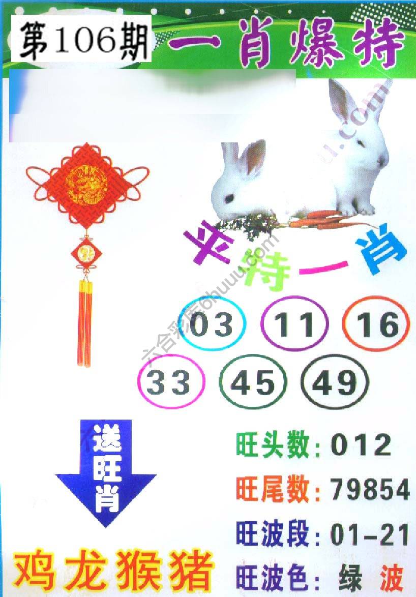 一肖爆特（新版）
