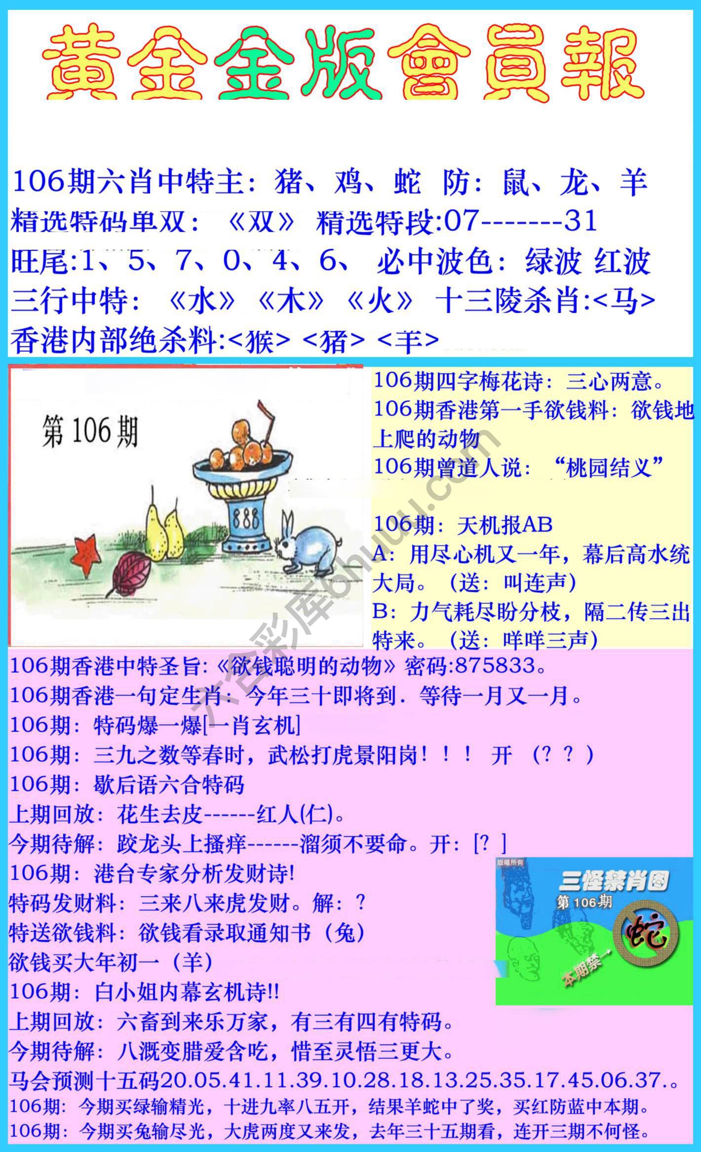 黄金金版会员报