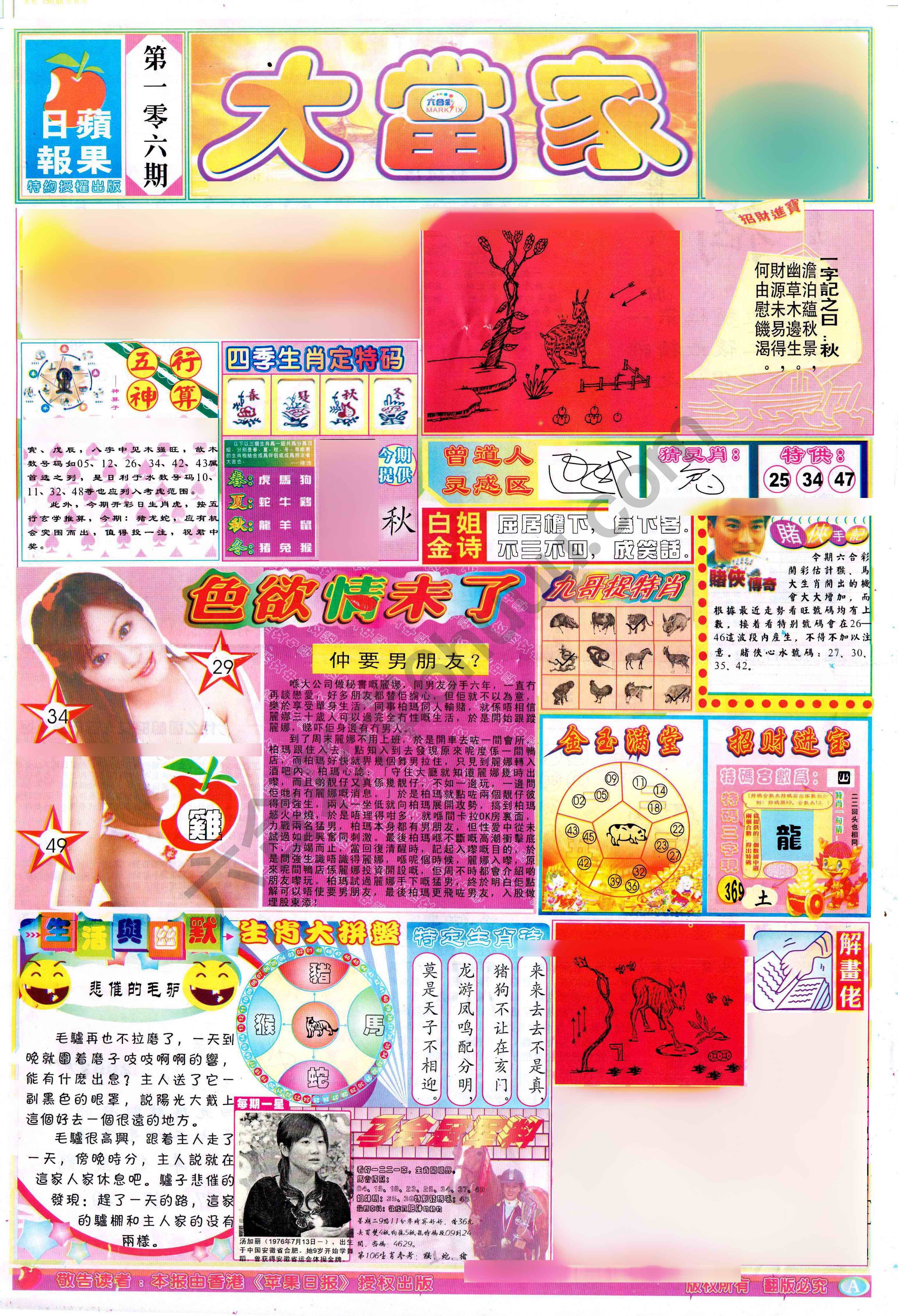 大当家