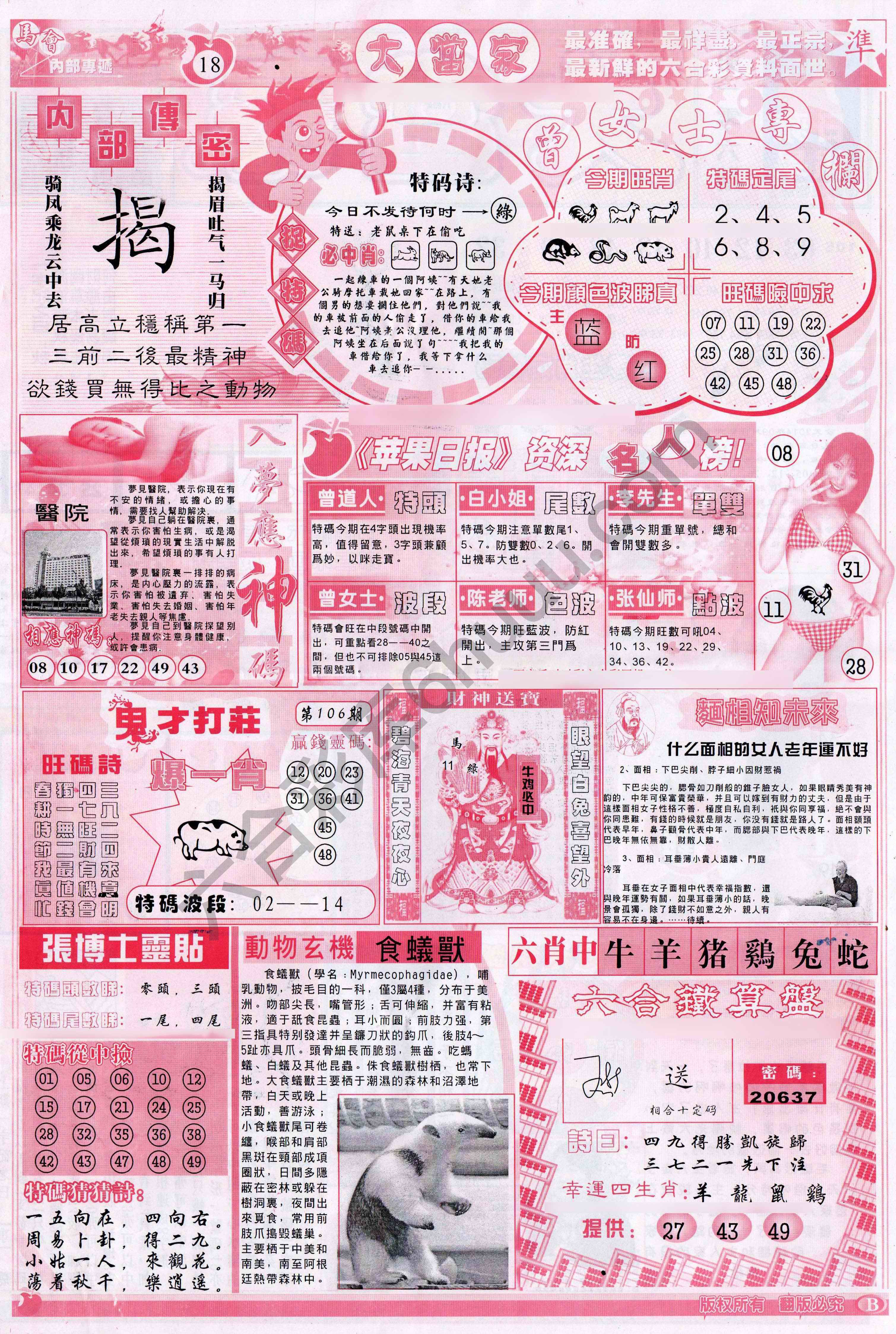 大当家