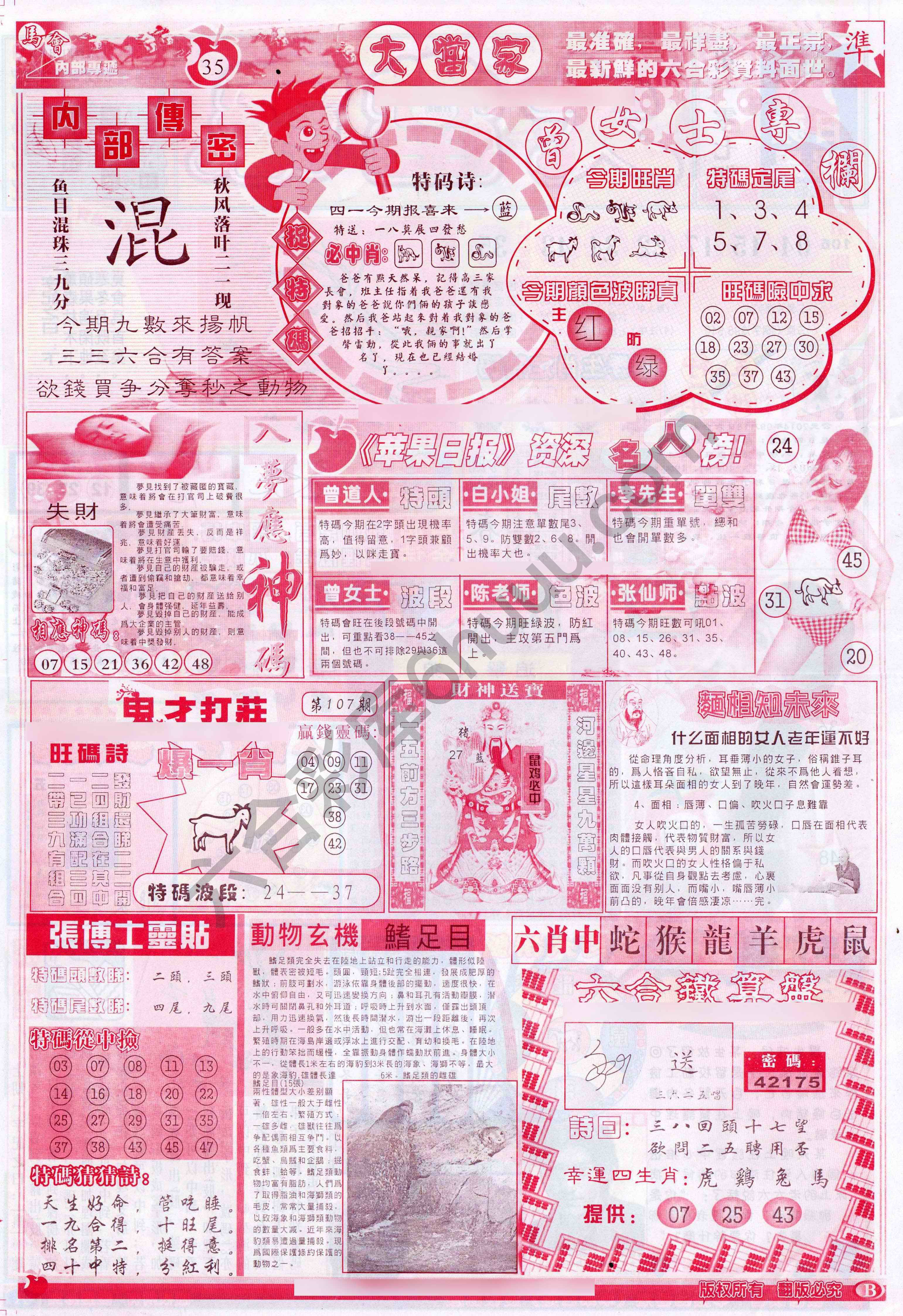 大当家