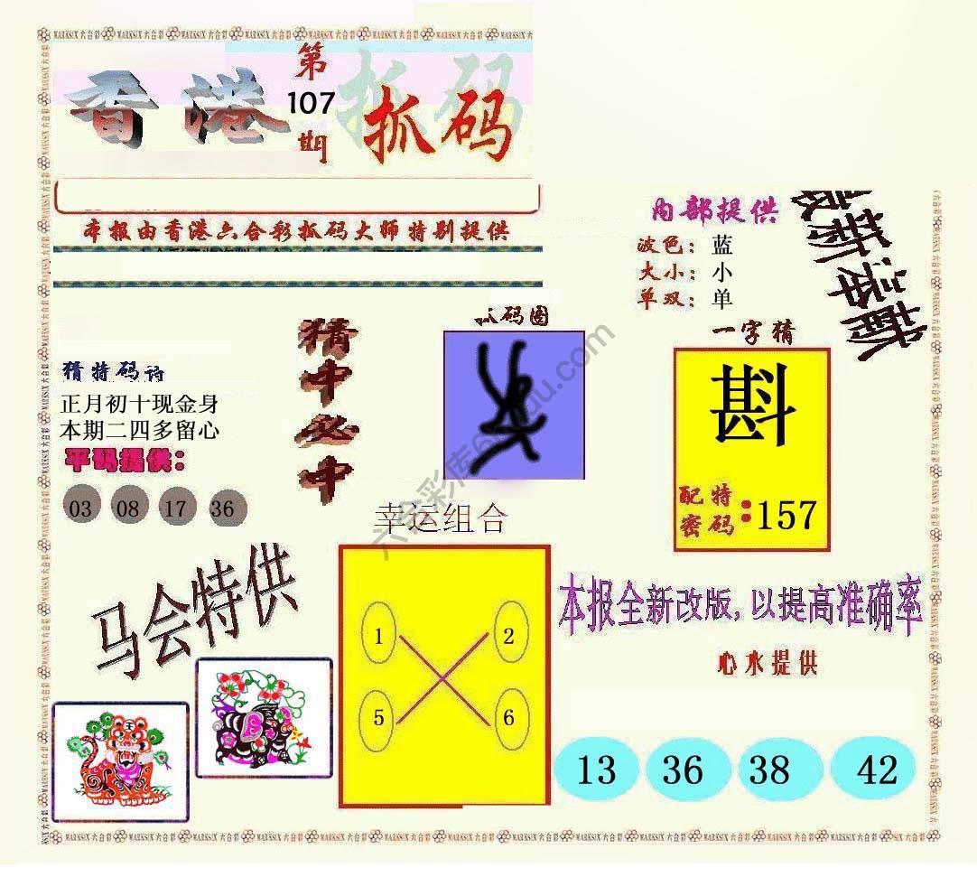 新抓码王