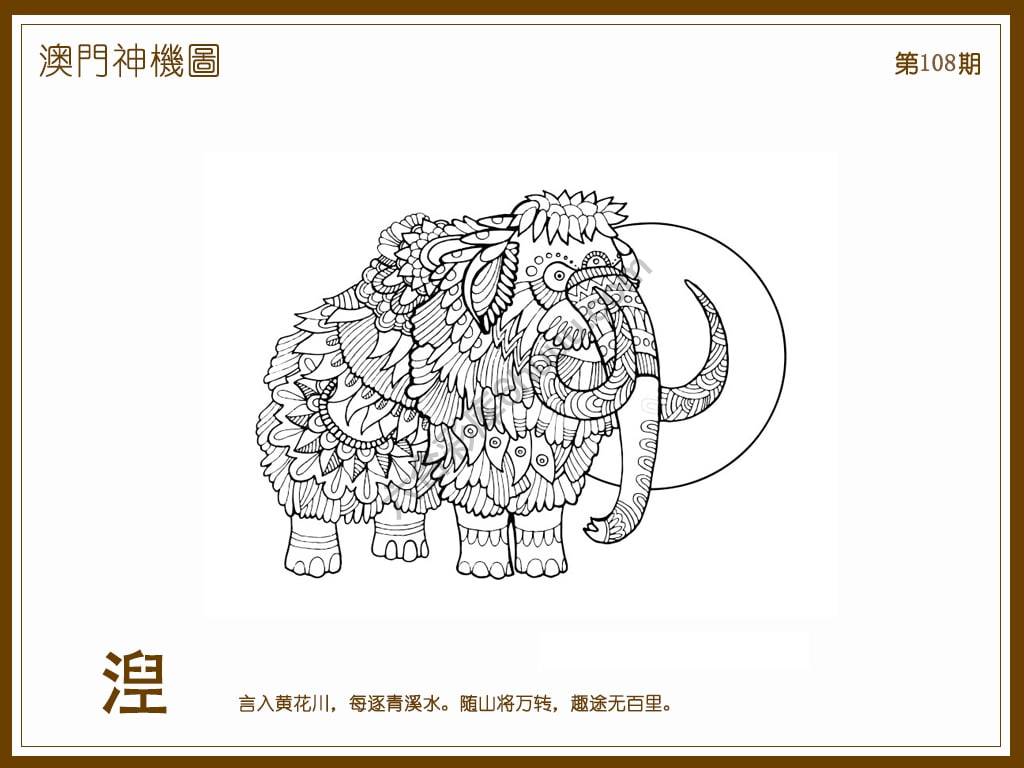澳门神机图
