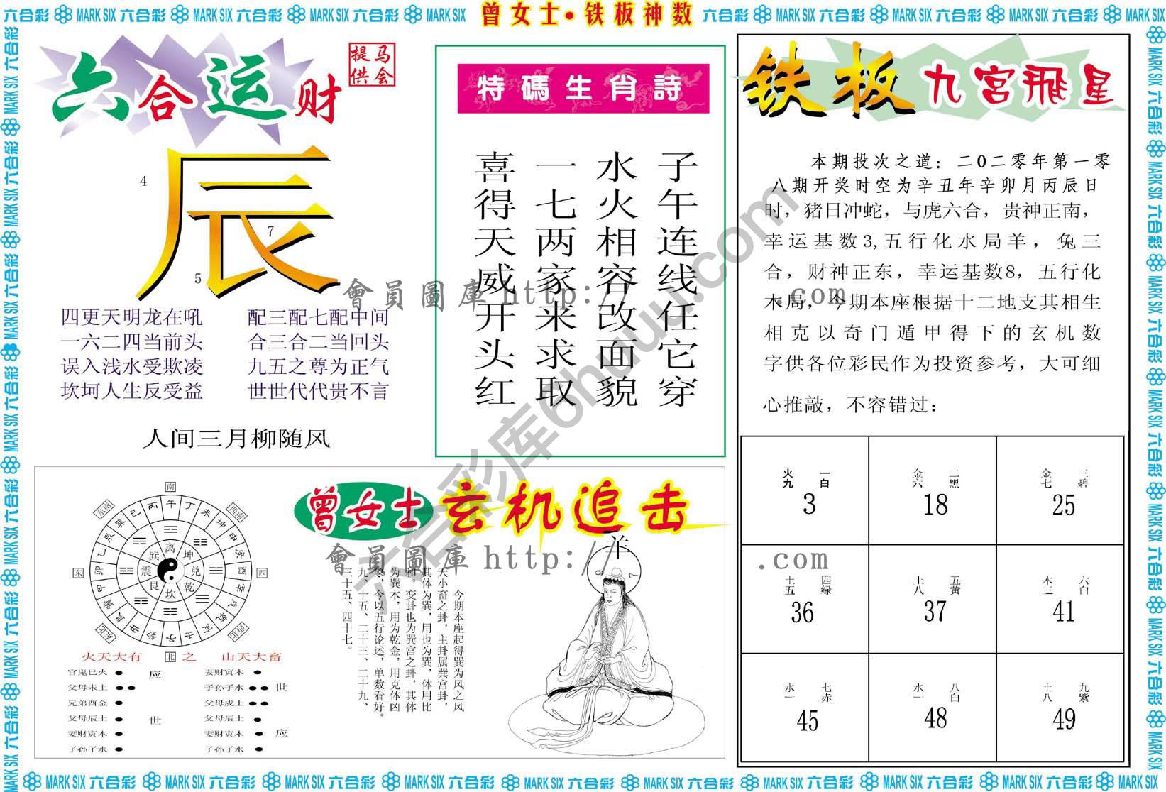 曾女士铁板神数