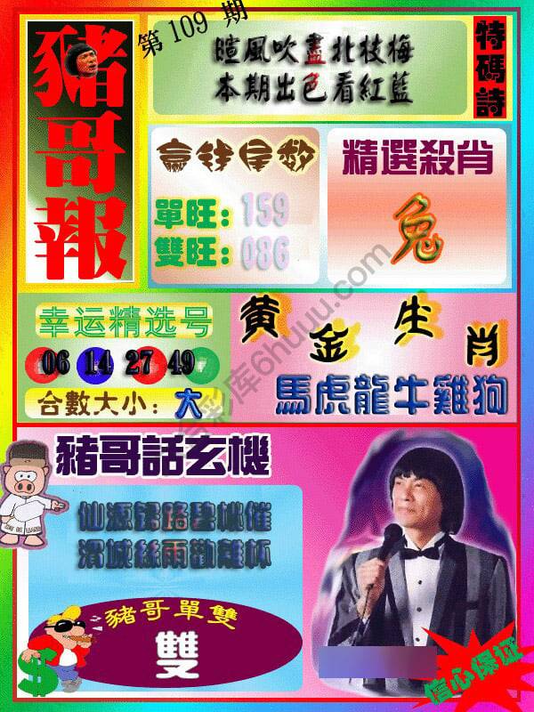 猪哥报