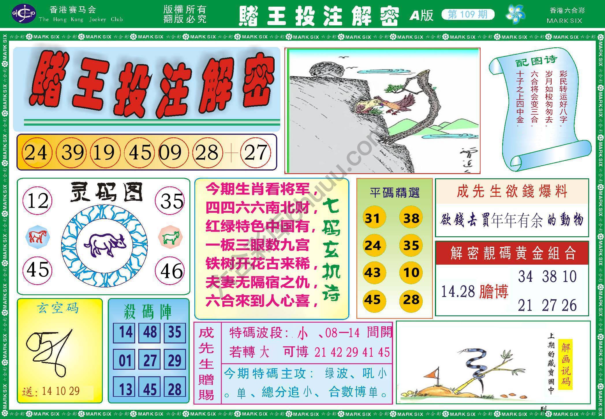 赌王投注解密