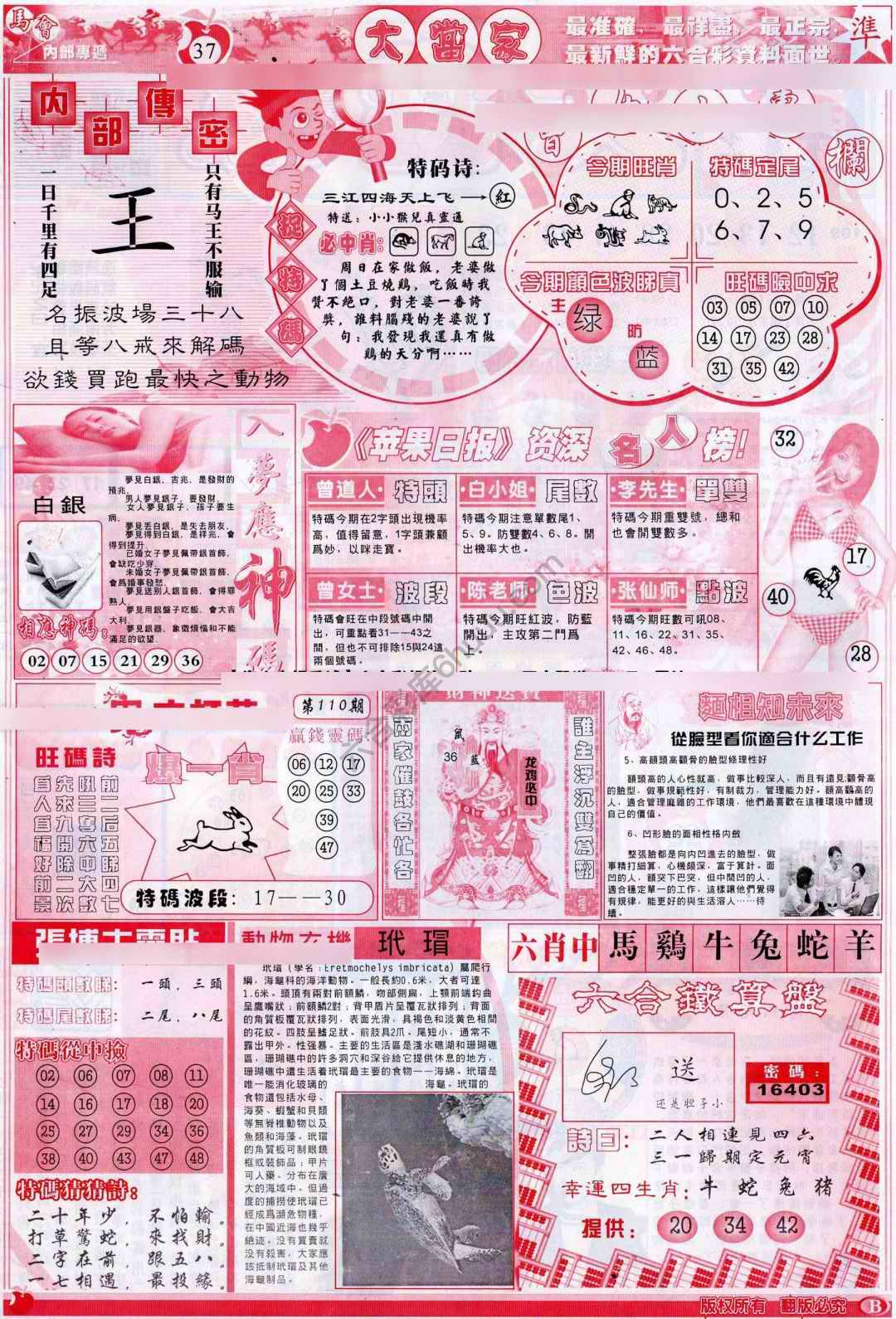 大当家