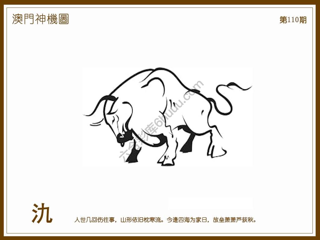 澳门神机图