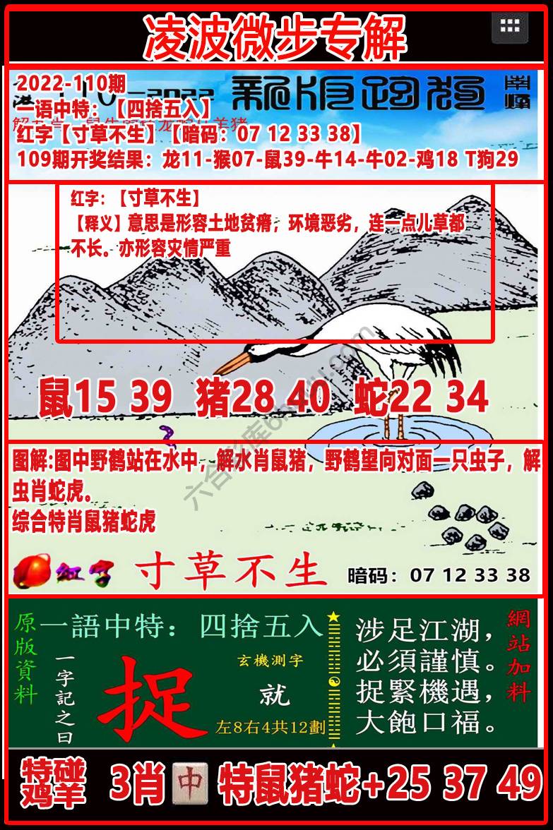 凌波微步解跑狗