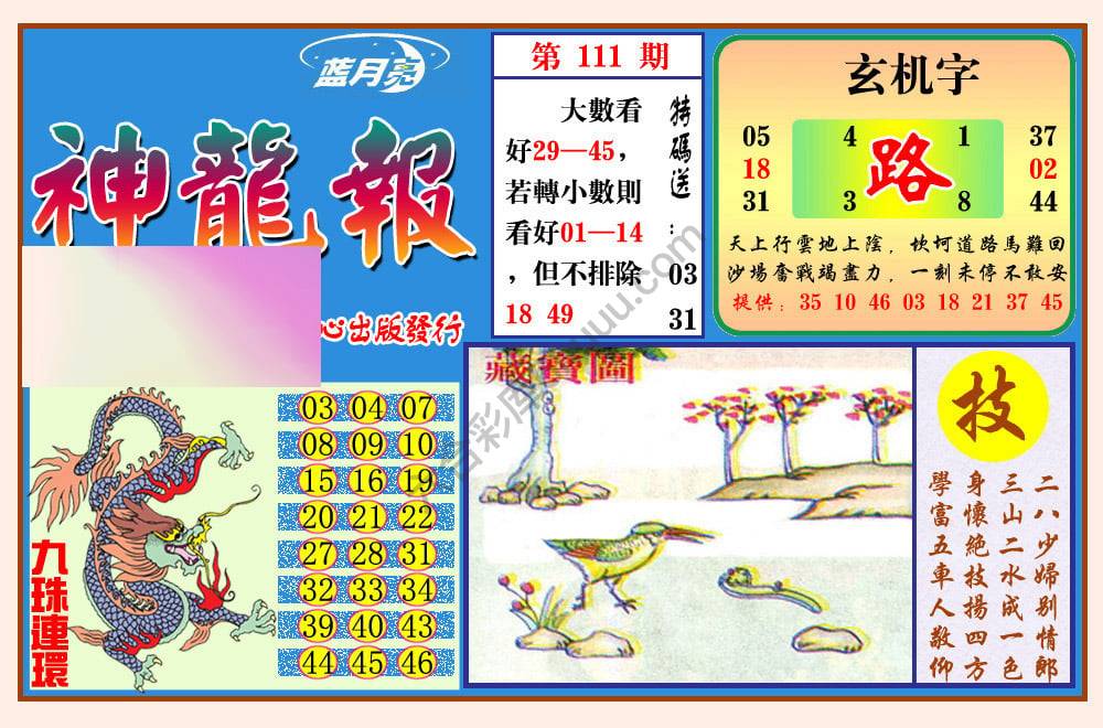 蓝月亮神龙报