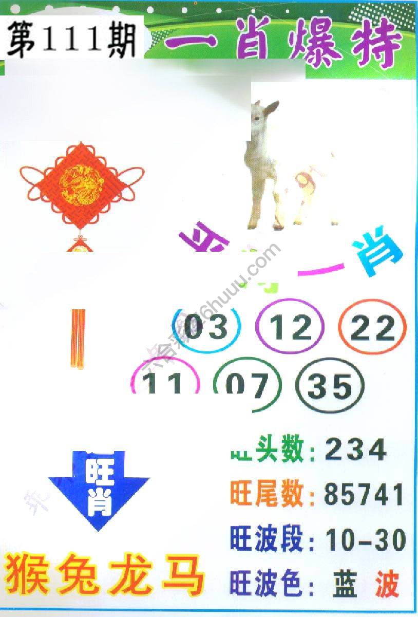 一肖爆特（新版）