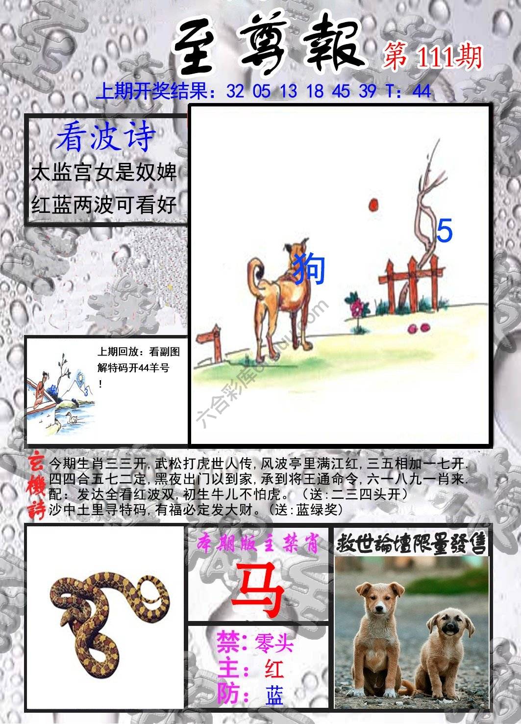至尊报