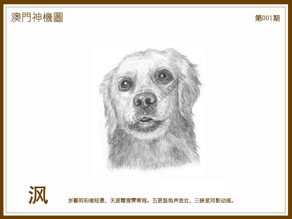 澳门神机图