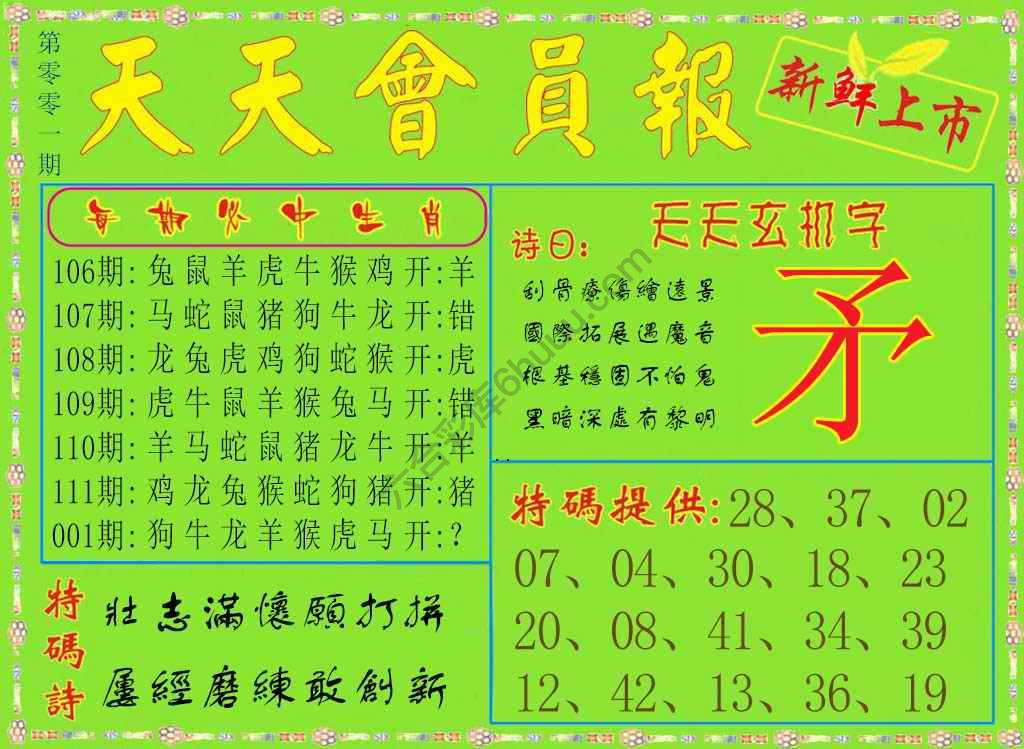 天天会员报