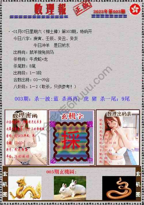 数理报