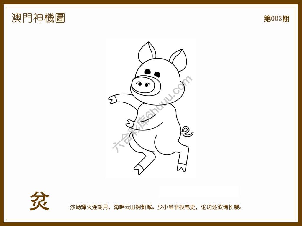 澳门神机图