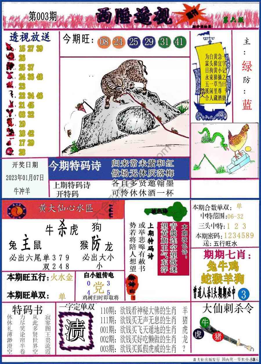 西陲透视（正版）