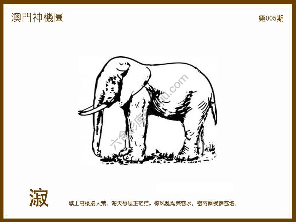 澳门神机图