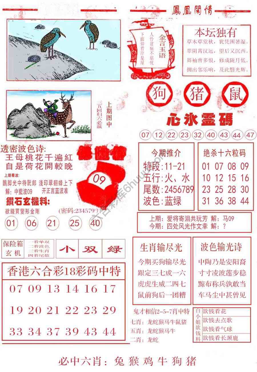 凤凰闲情