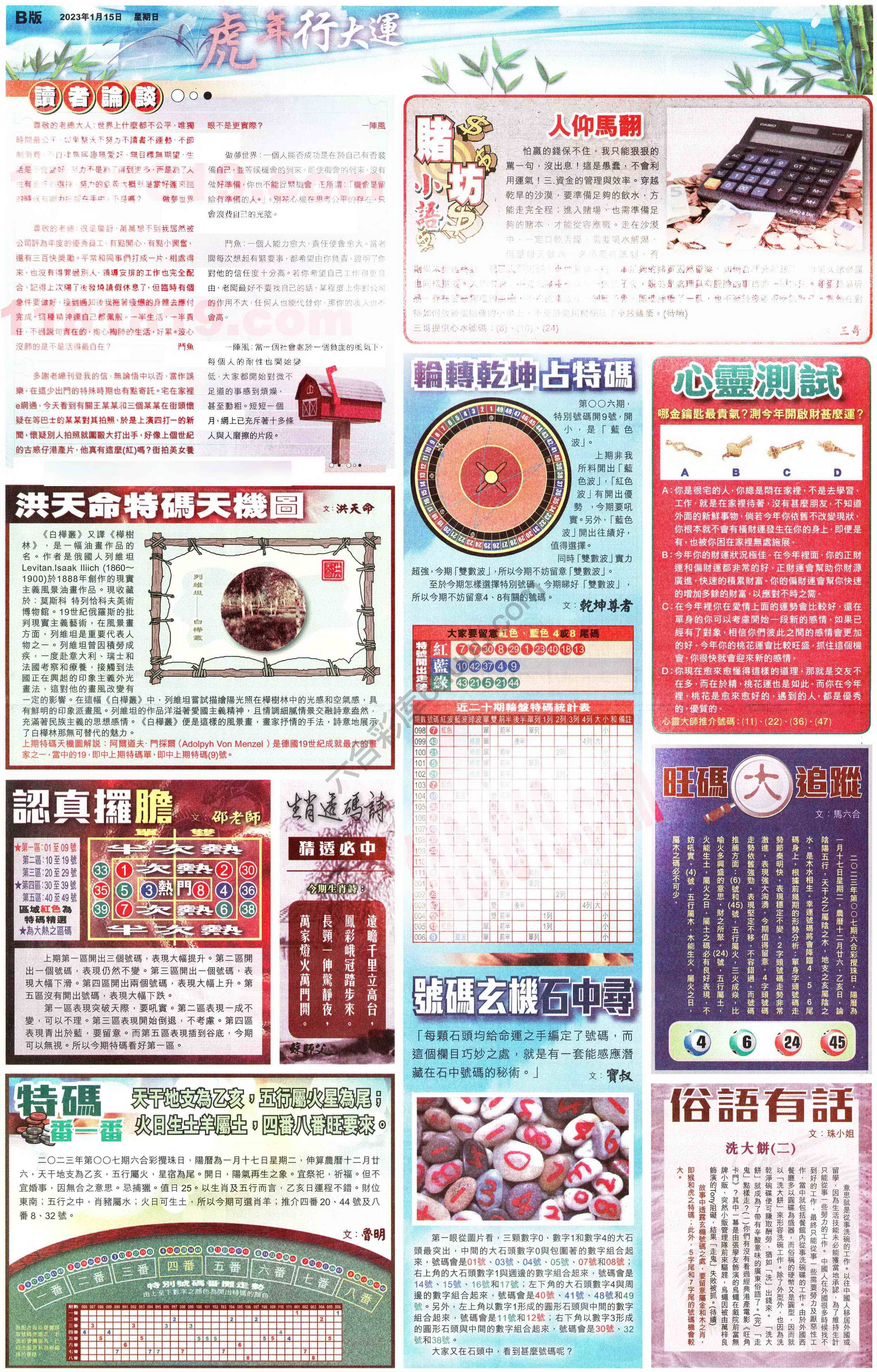 大版贴士皇