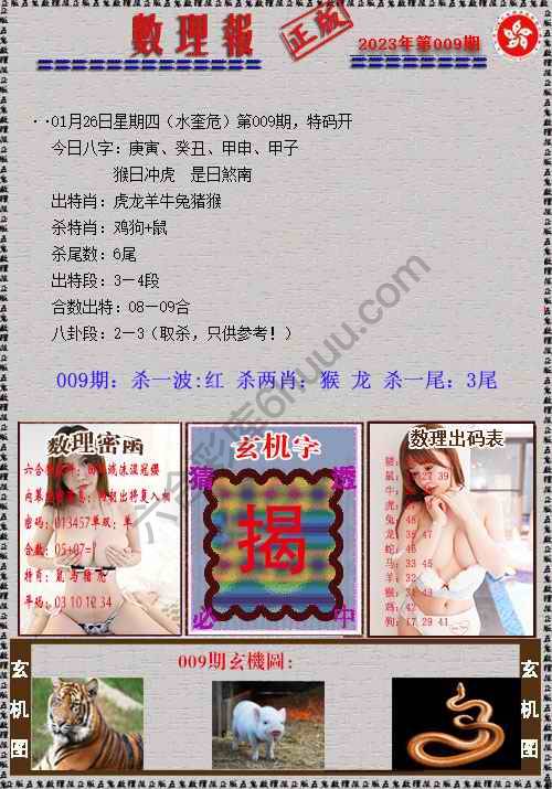 数理报