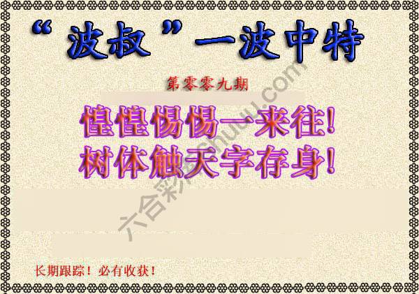 波叔一波中特