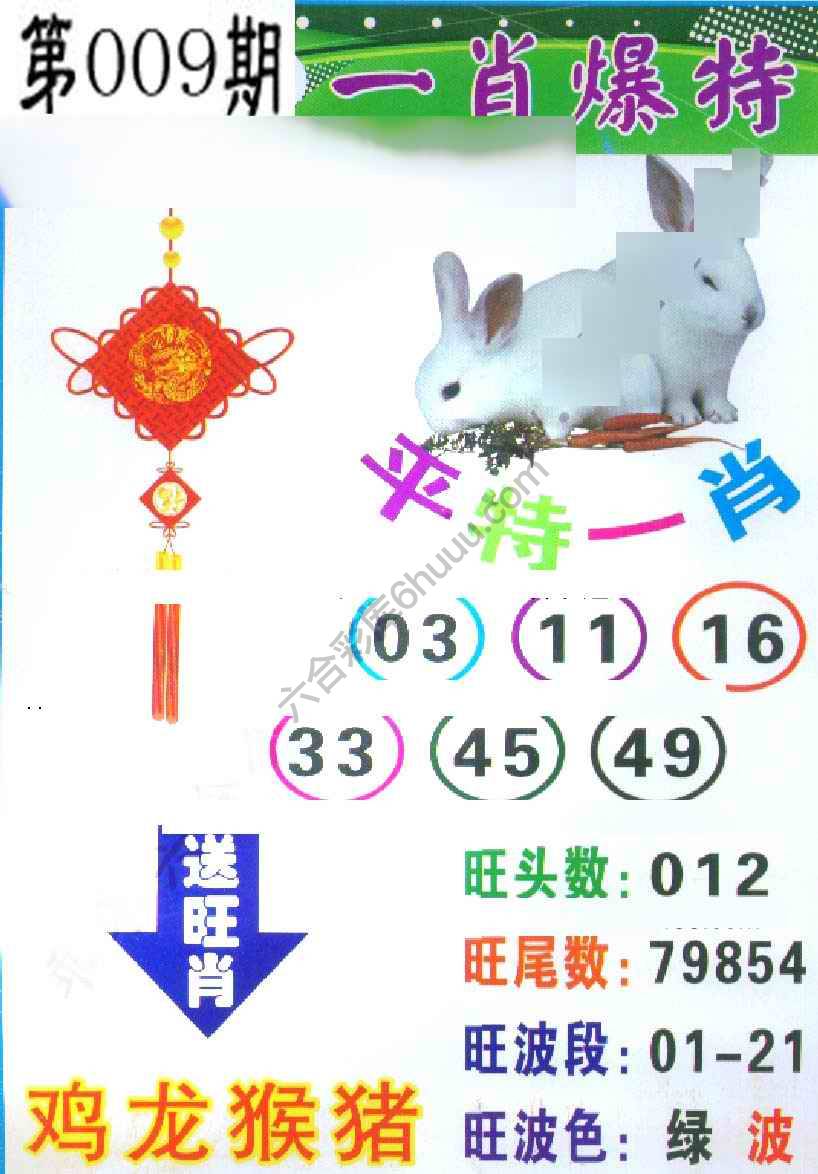 一肖爆特（新版）