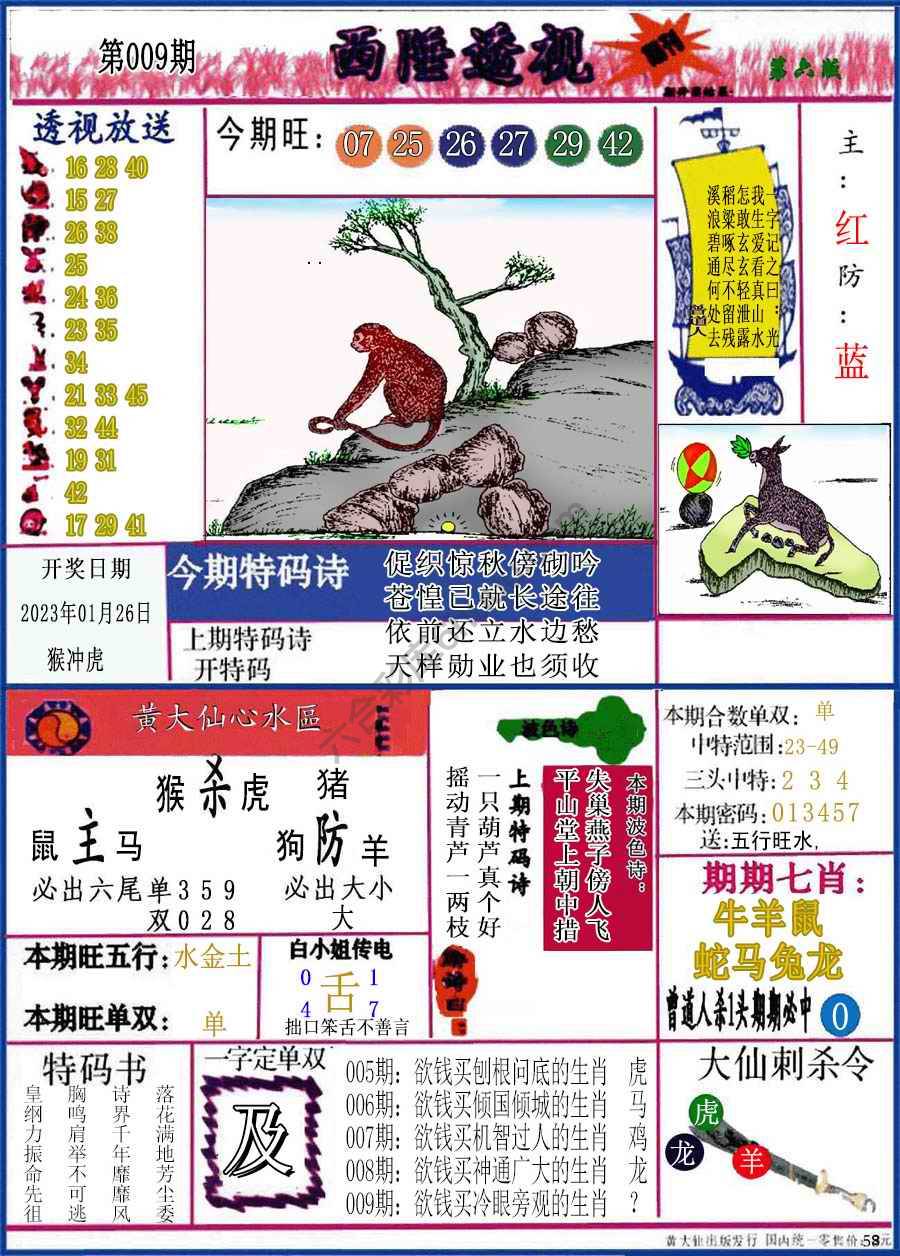 西陲透视（正版）
