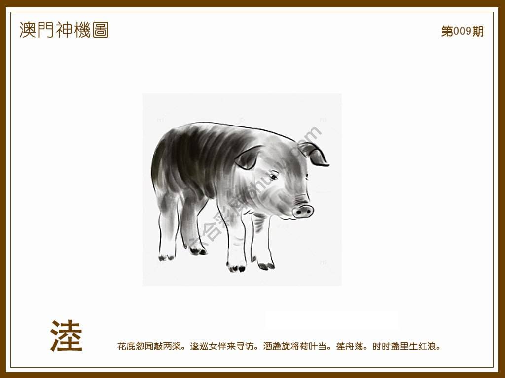 澳门神机图