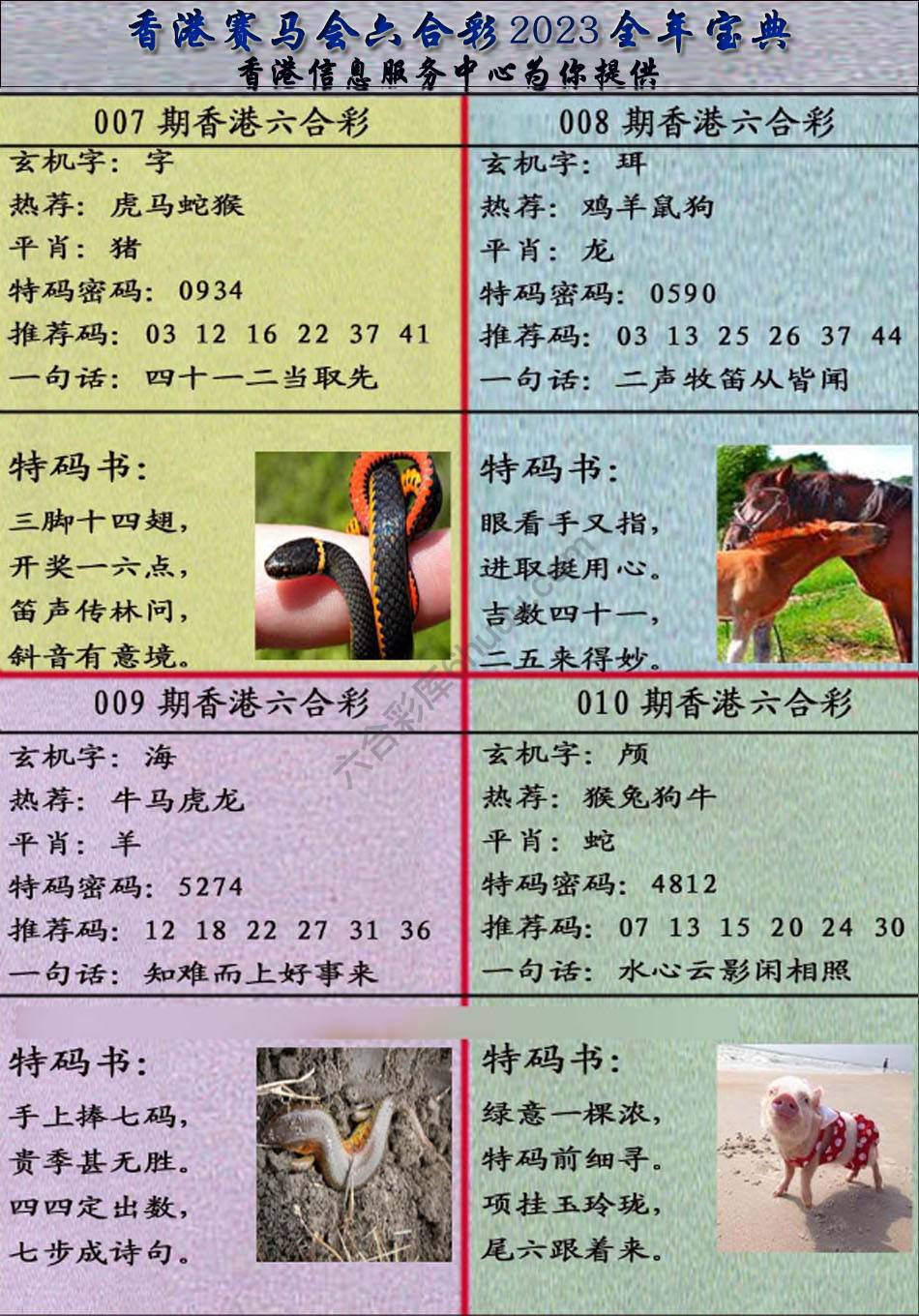宝典报