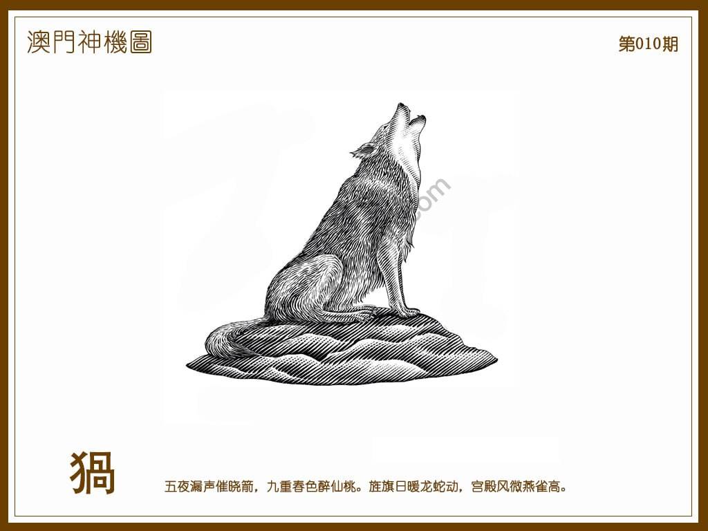 澳门神机图