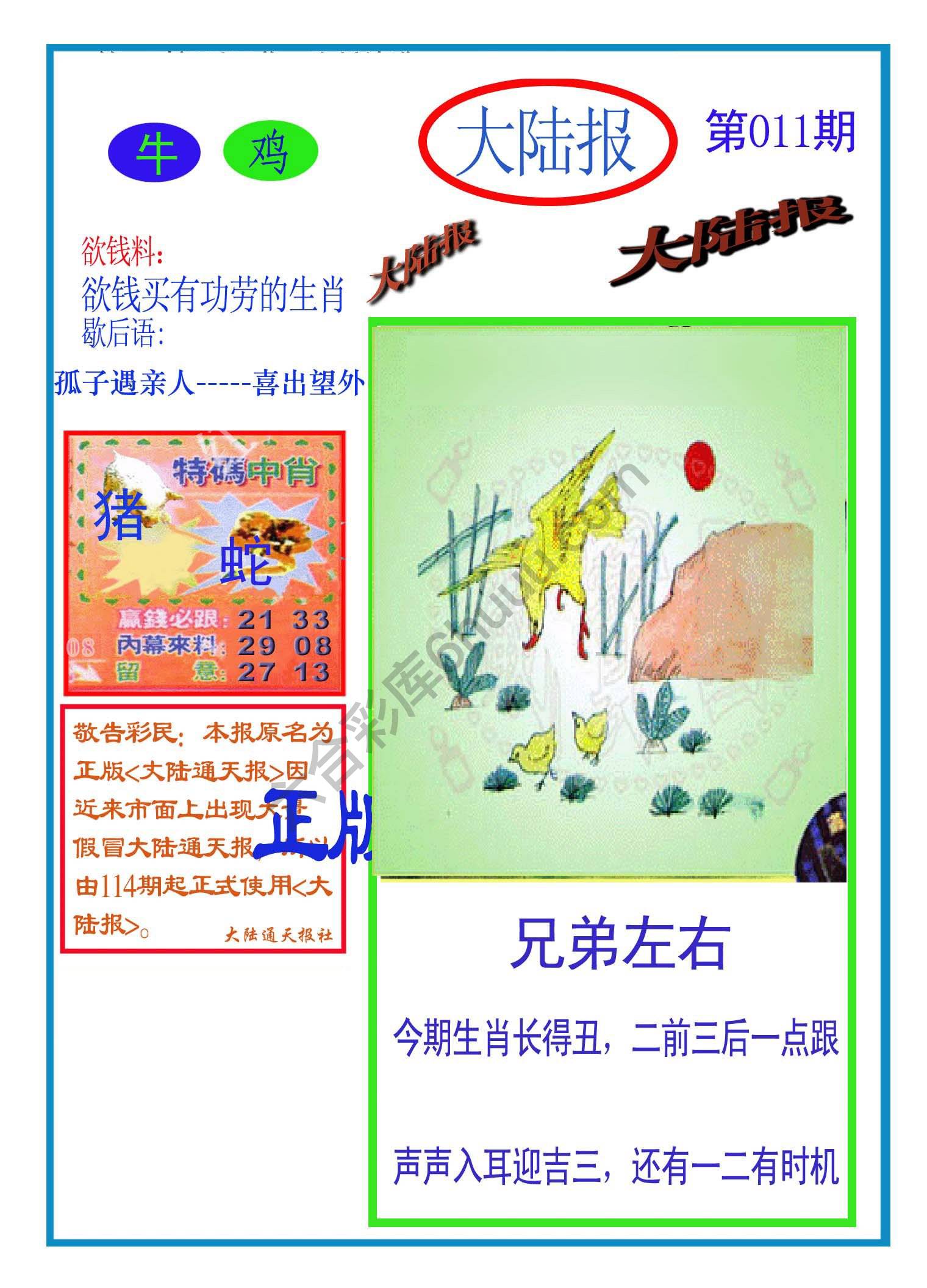大陆报