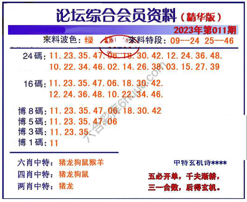 综合会员资料