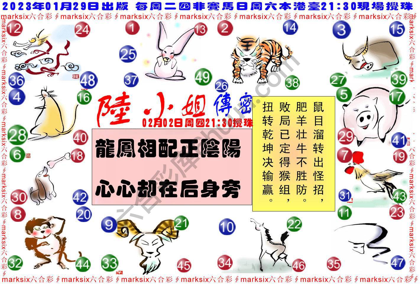 陆小姐传密