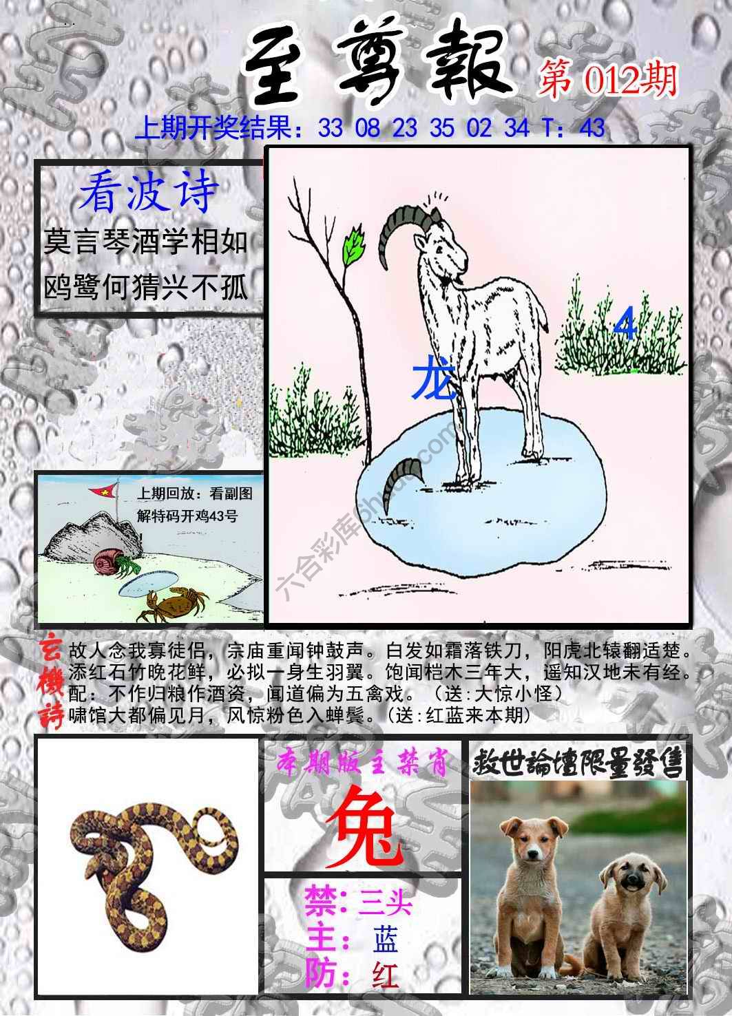 至尊报
