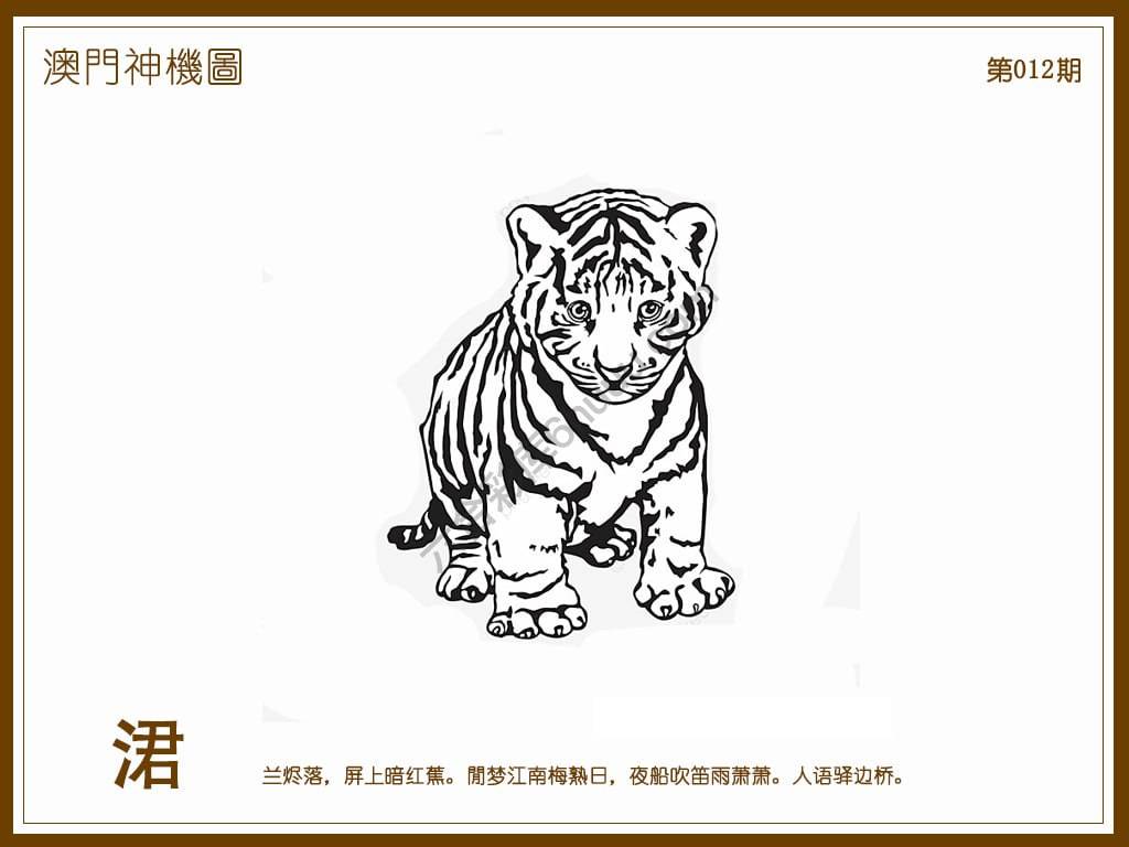 澳门神机图