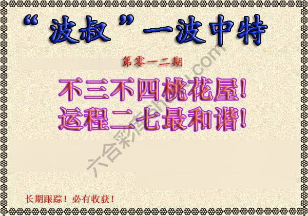 波叔一波中特