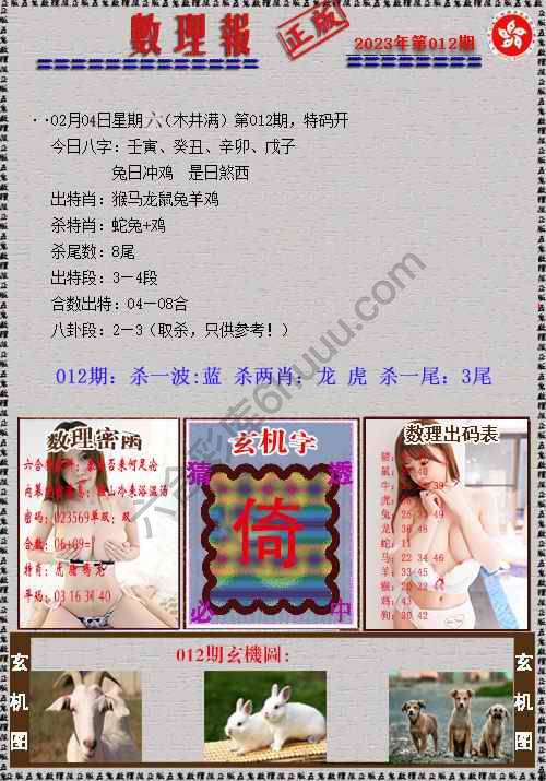 数理报