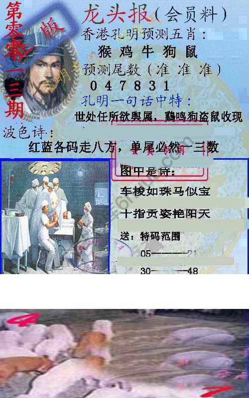 龙头报