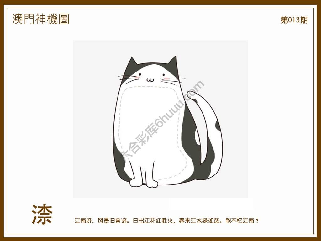 澳门神机图