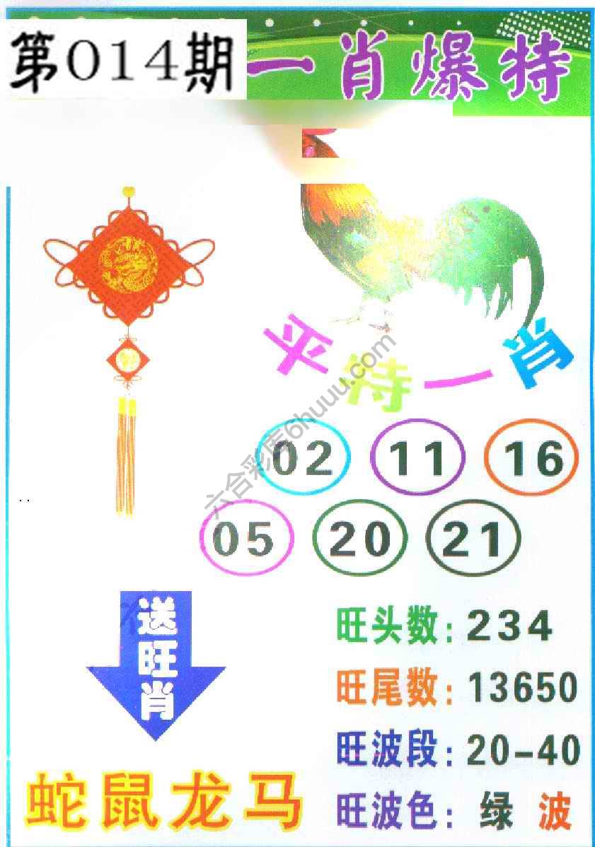 一肖爆特（新版）