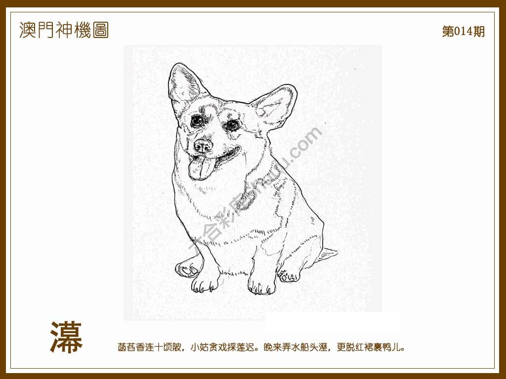 澳门神机图