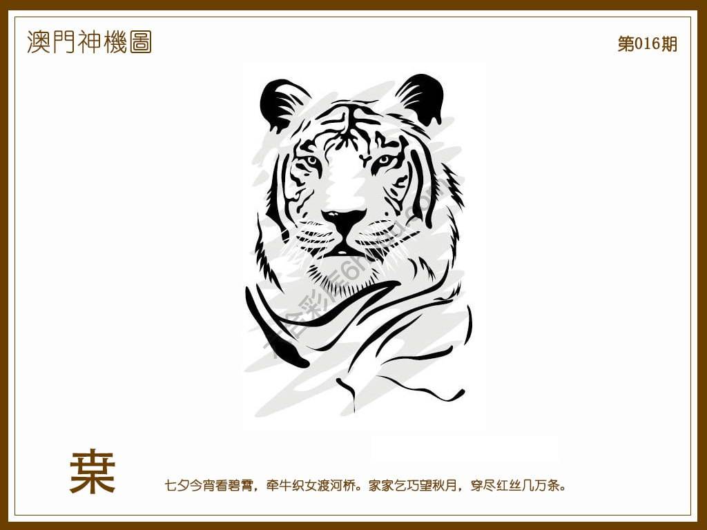 澳门神机图