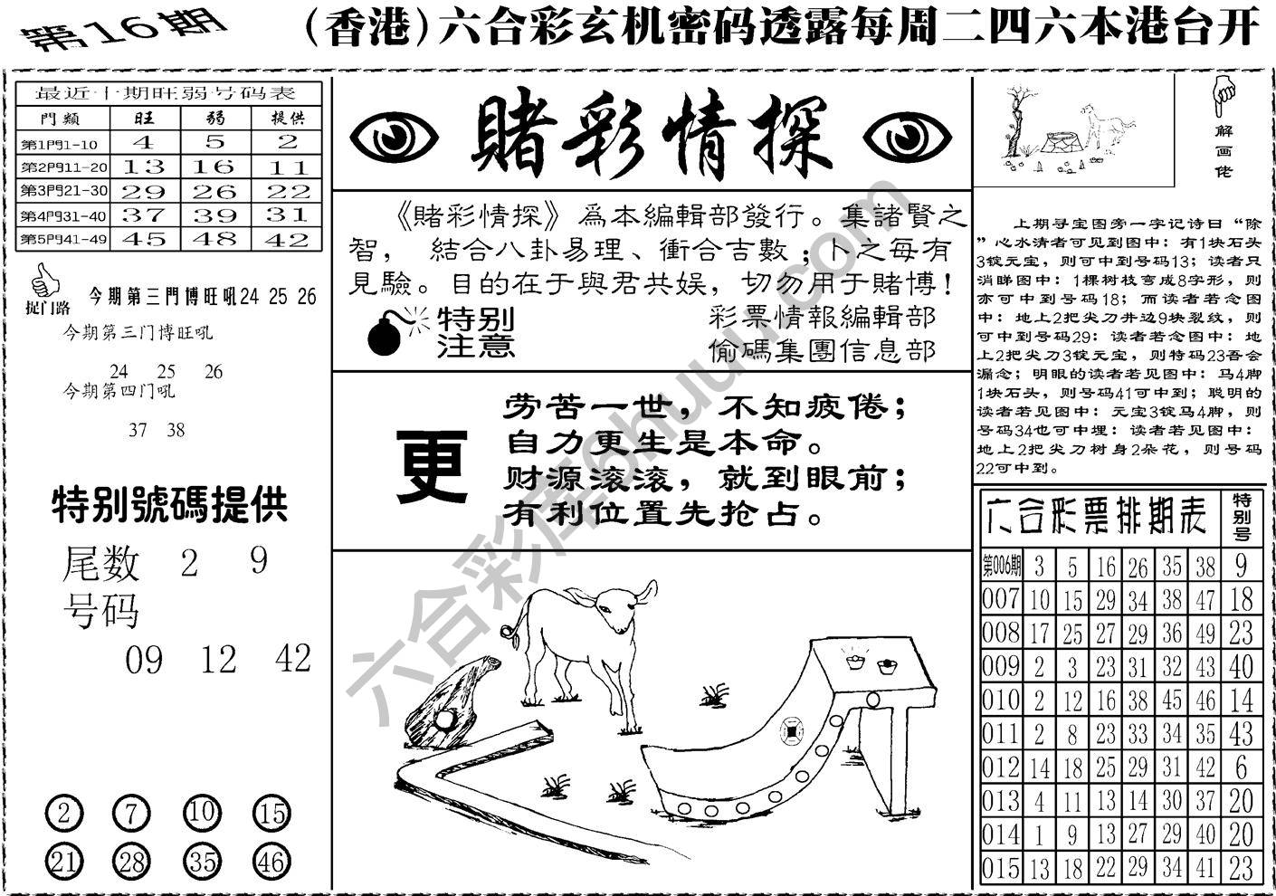 赌彩情探
