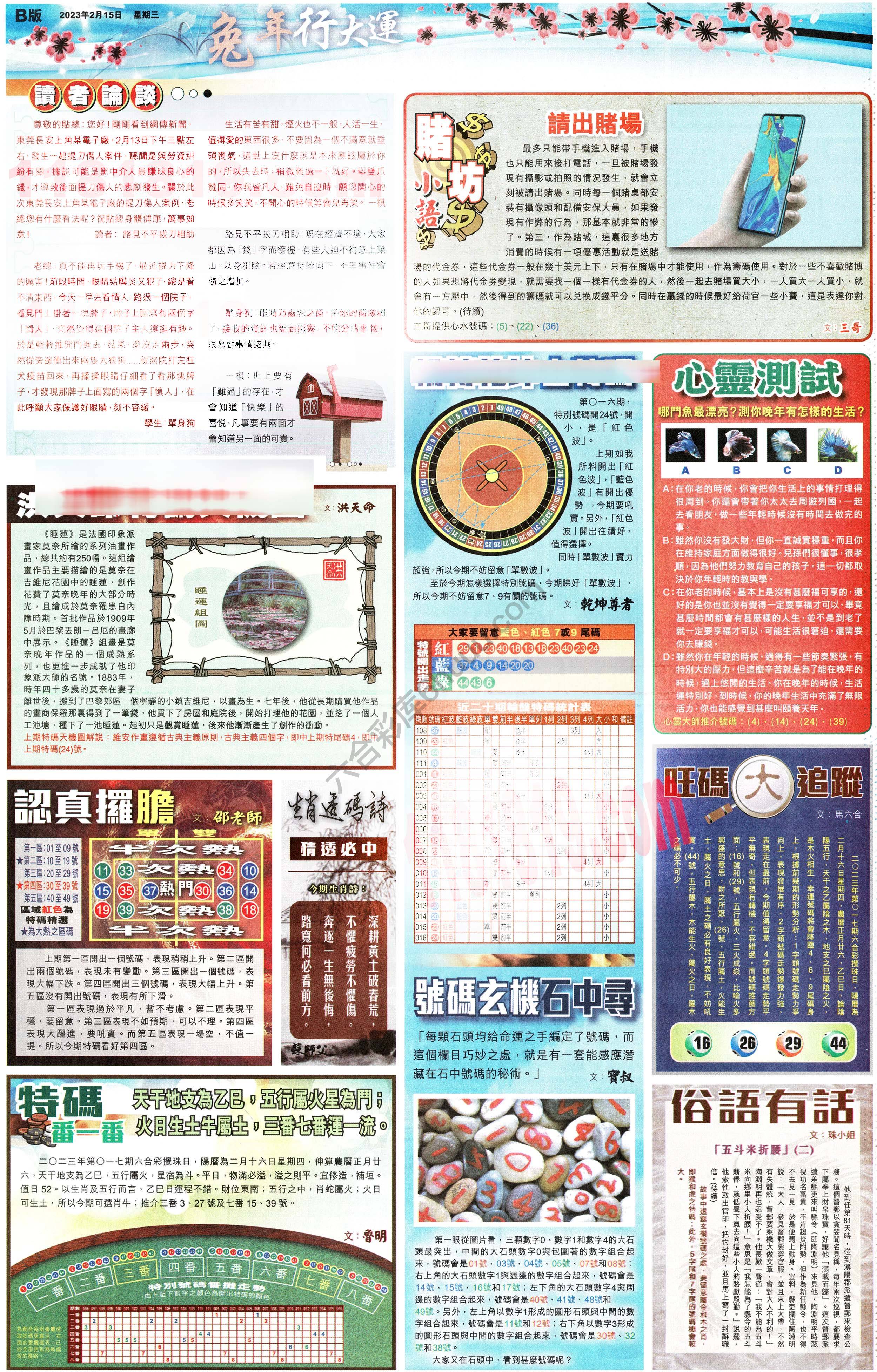 大版贴士皇