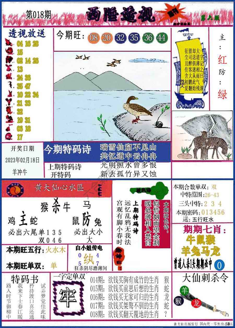 西陲透视（正版）
