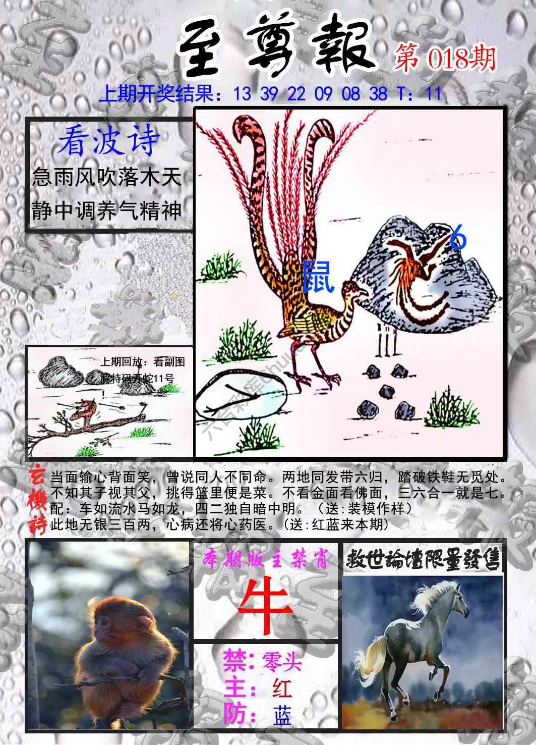 至尊报